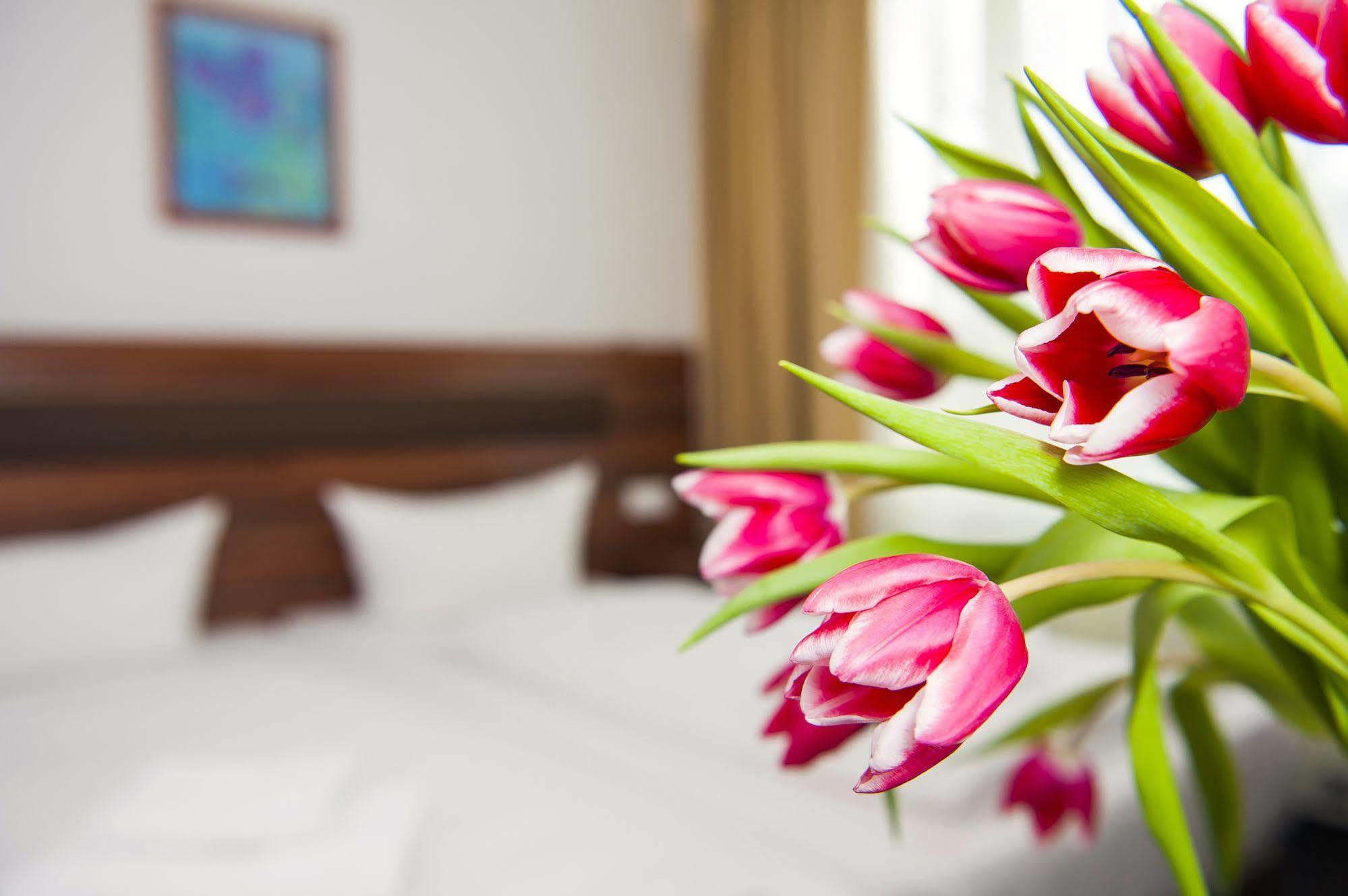 Christie Aparthotel